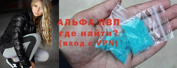 гашик Пестово