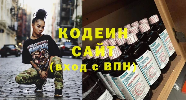 гашик Пестово