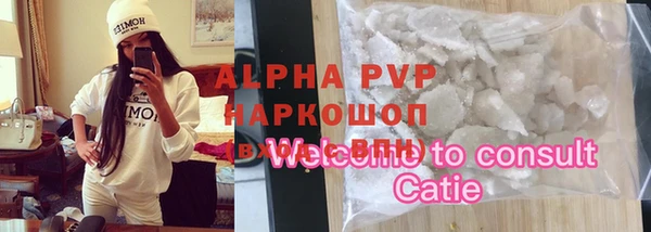 гашик Пестово