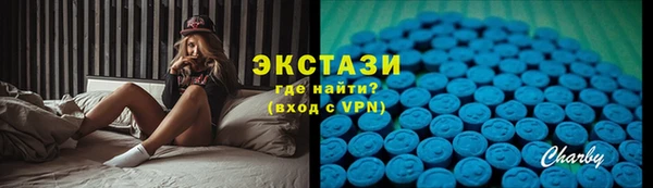 гашик Пестово