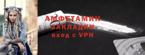 гашик Пестово