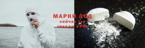 прущие грибы Пересвет