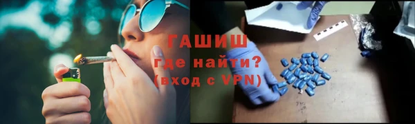 гашик Пестово