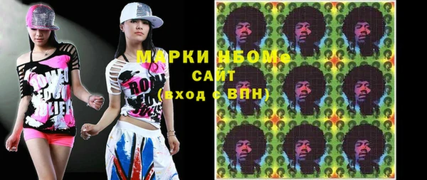 гашик Пестово
