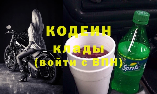 гашик Пестово