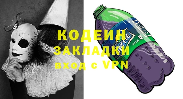 прущие грибы Пересвет
