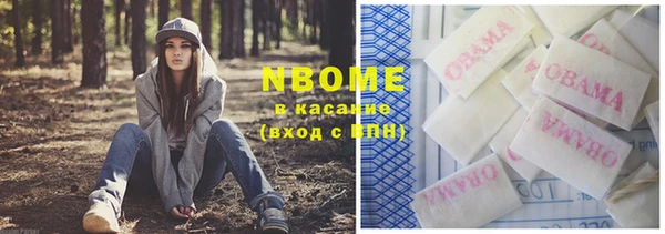 прущие грибы Пересвет
