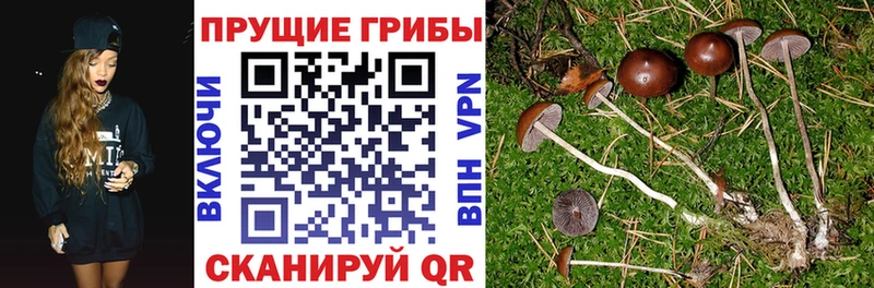 Галлюциногенные грибы Magic Shrooms  Лебедянь 